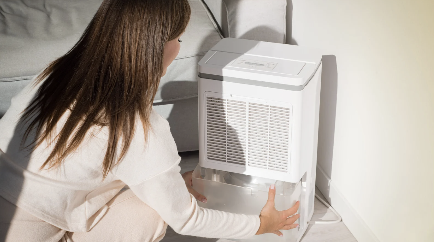 alt text: Dehumidifier in a Hong Kong apartment