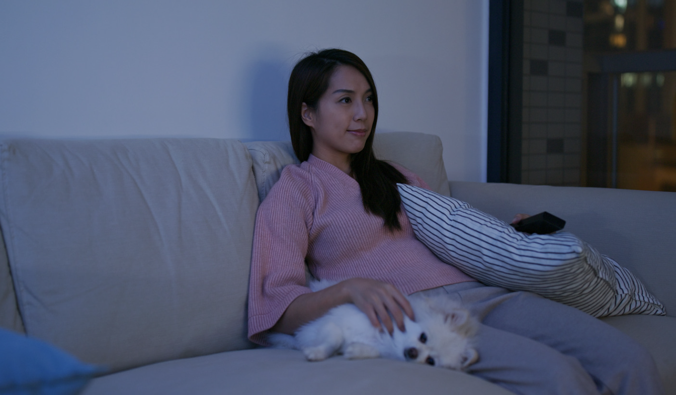 alt text: dog cuddled with blanket during storm