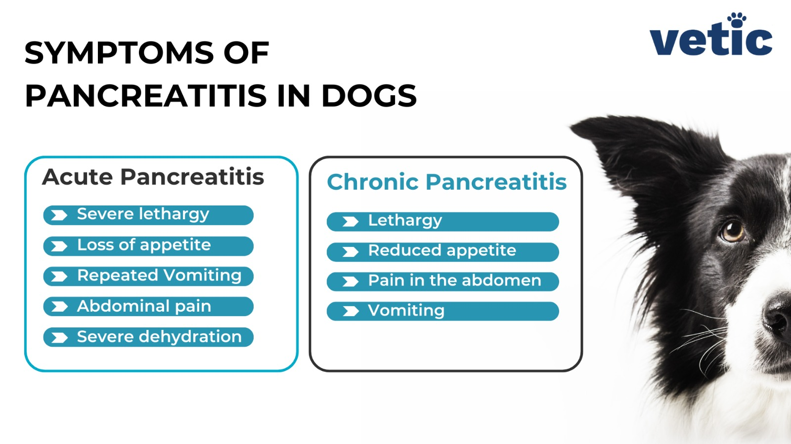 alt text: Diagra showing 2 types of pancreatitis