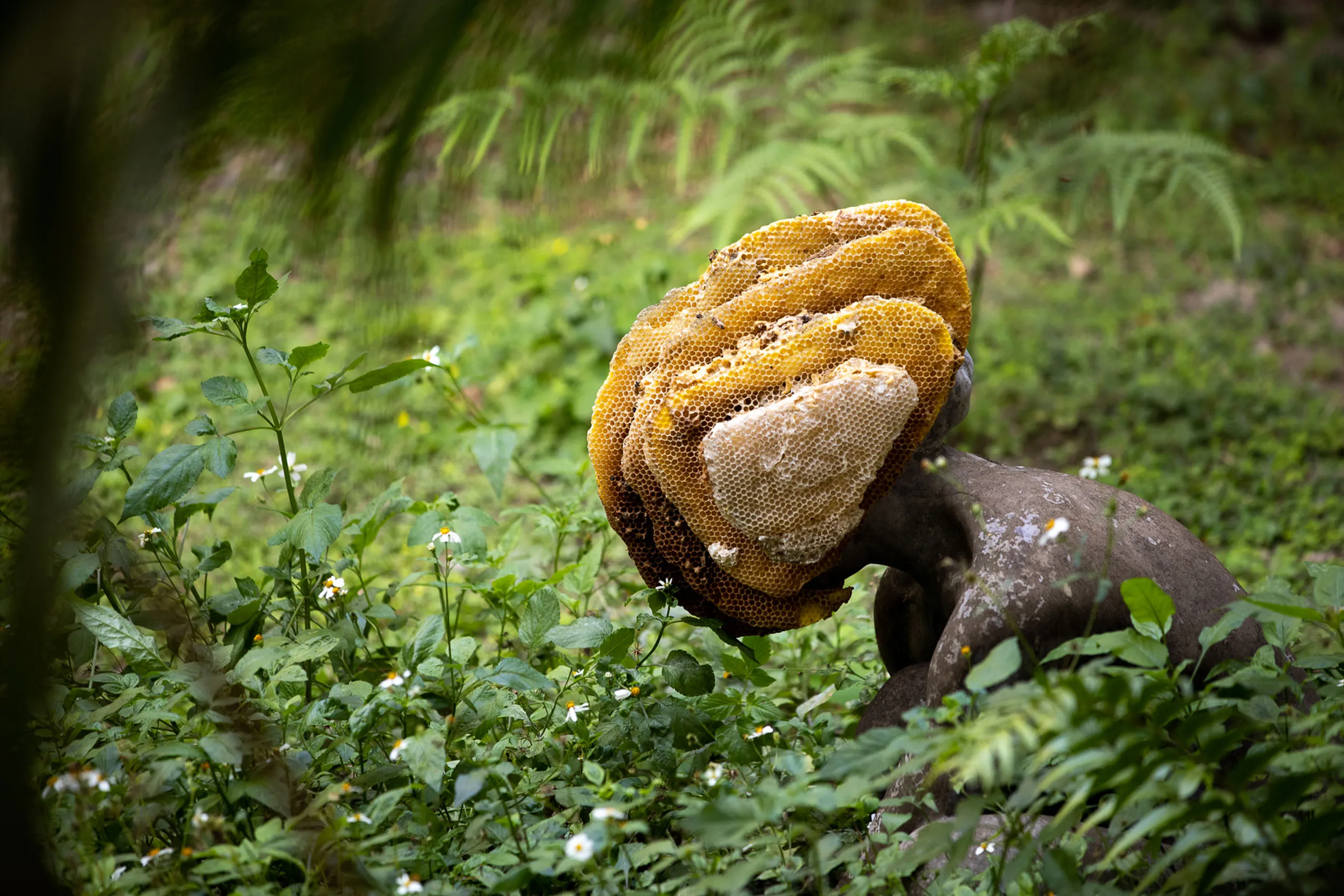 Courtesy Winsing Arts Foundation. Photo © 張國耀