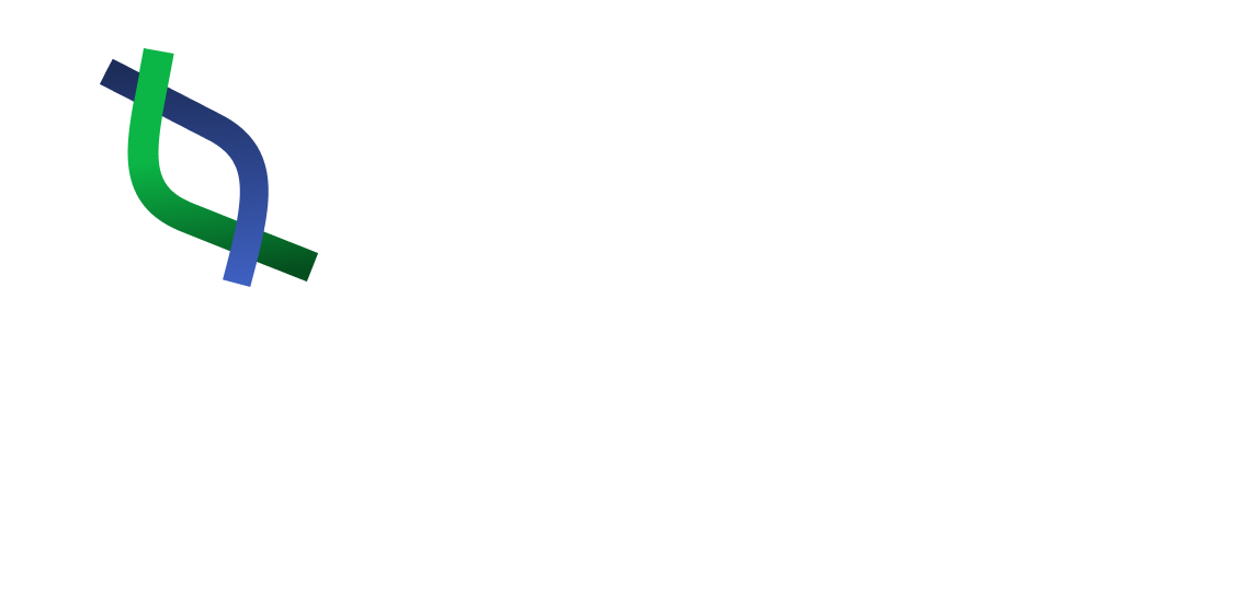 Expert Solutions wide logo