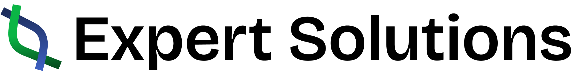 Expert Solutions full logo