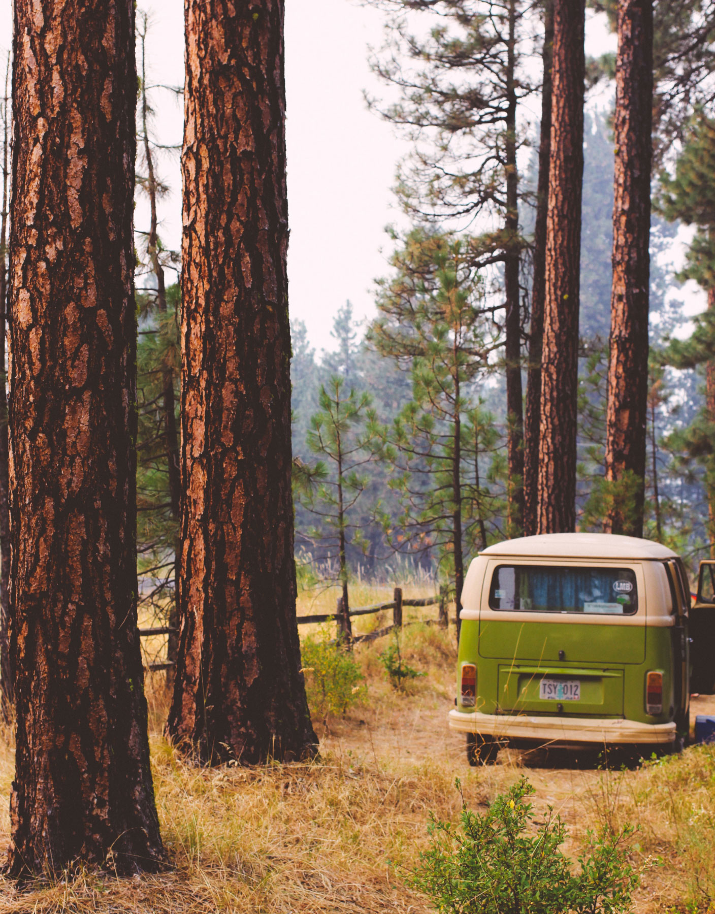 Photo of green bus in forest