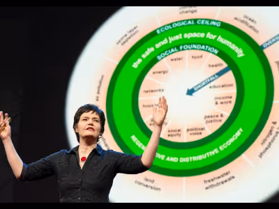 The doughnut model explained