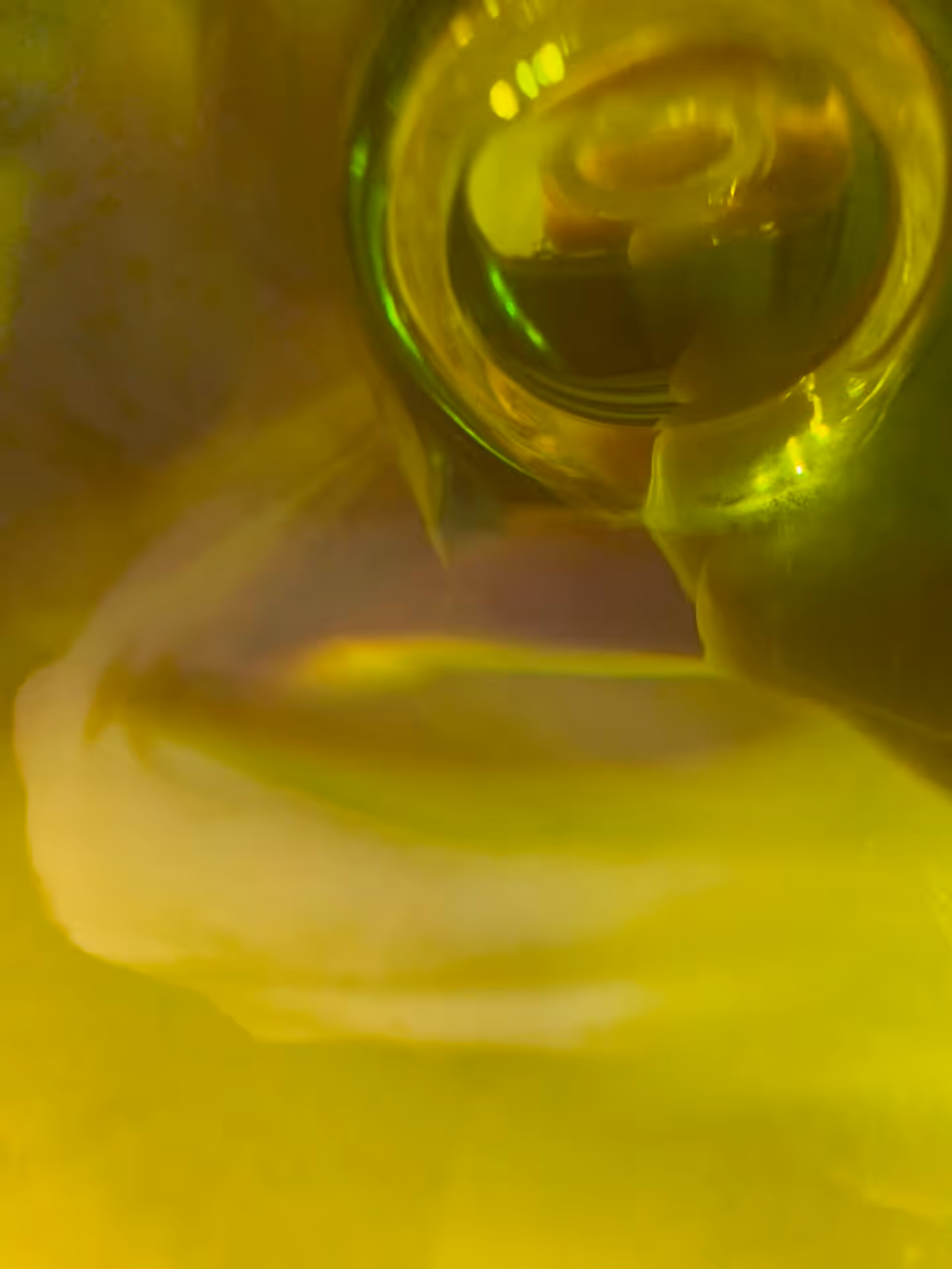 Tuscan olive oil