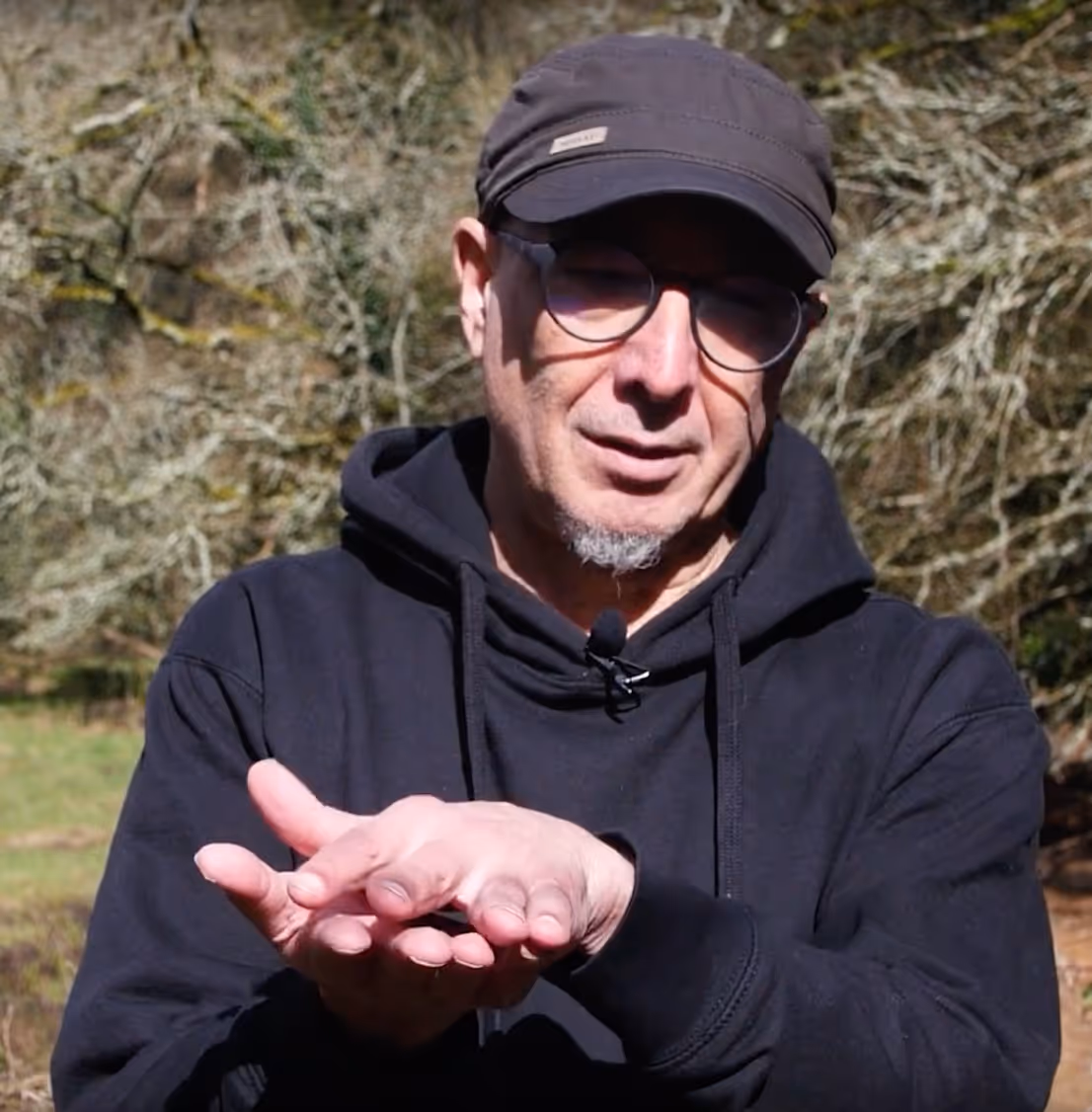 Emilio soil