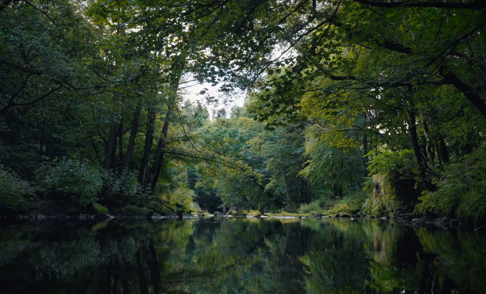 Many ways to understand a river