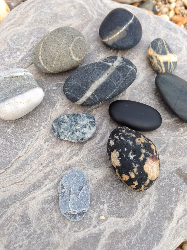 Bio-cultural identity