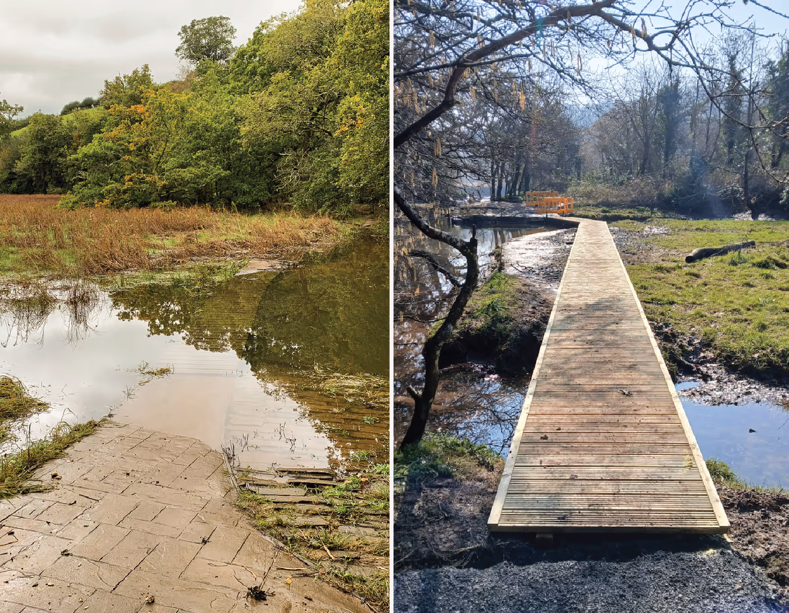 Ecological restoration in action