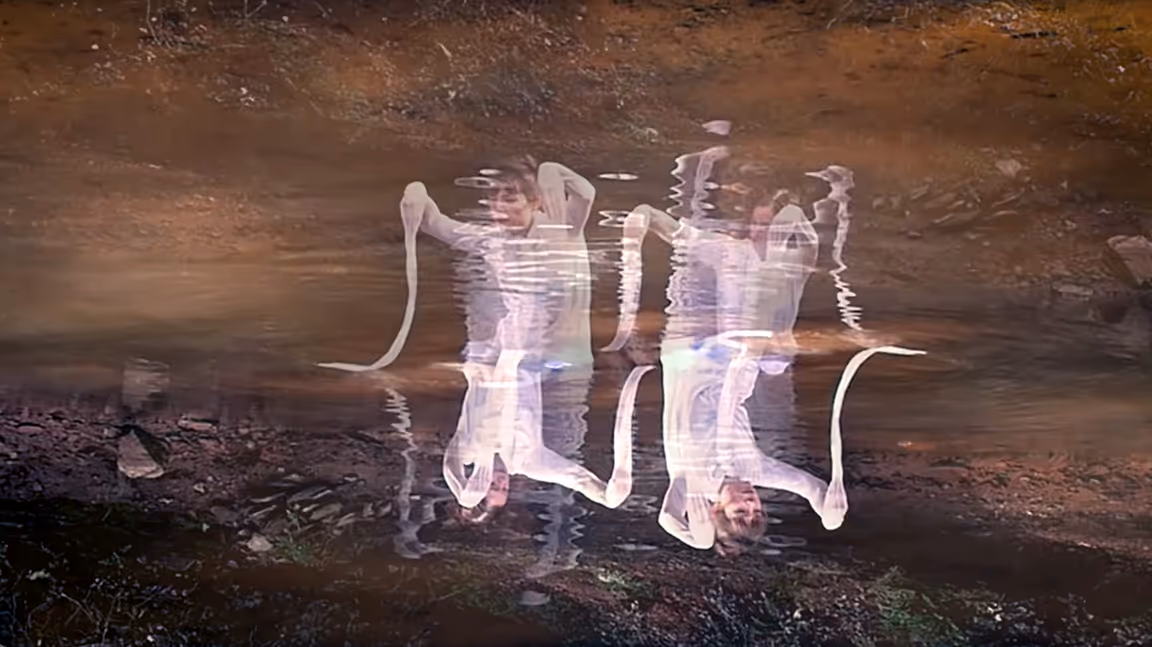 Art illuminates ecology
