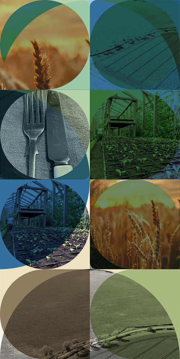Bioregional Banquet