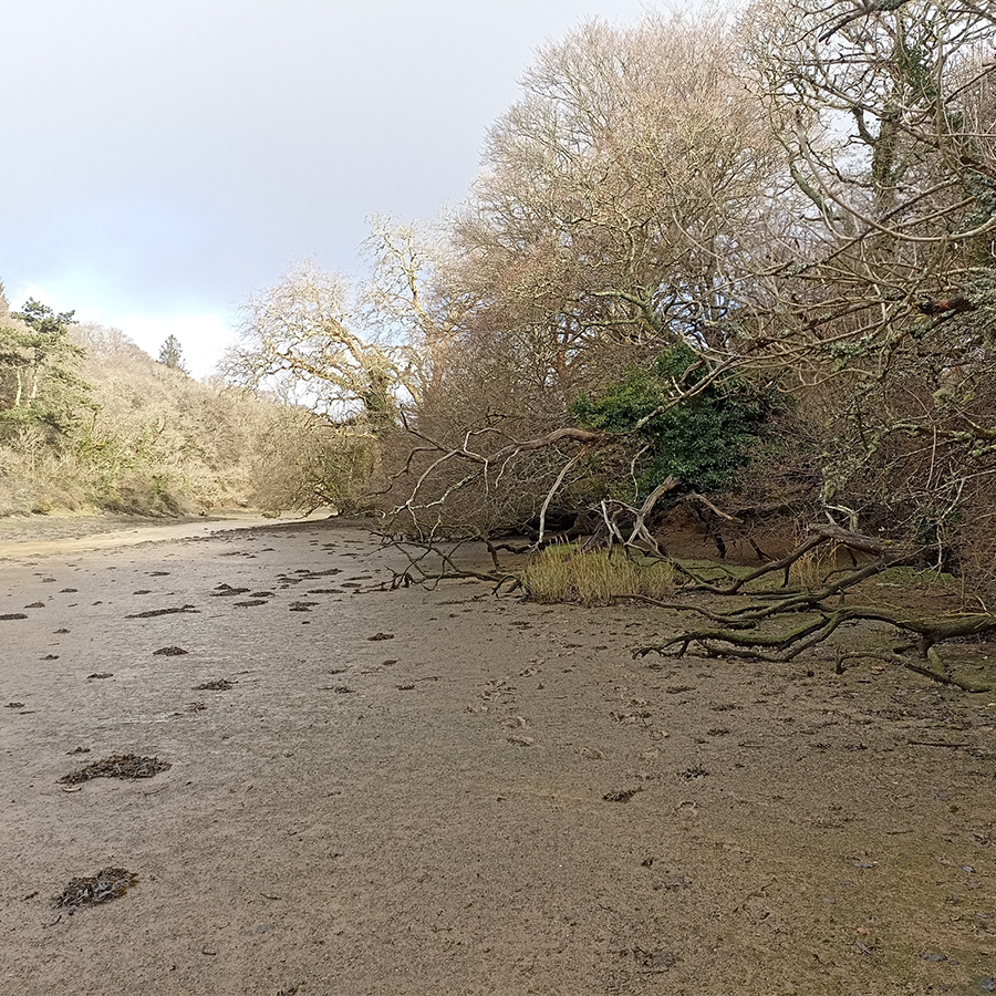 Diverse ecosystems