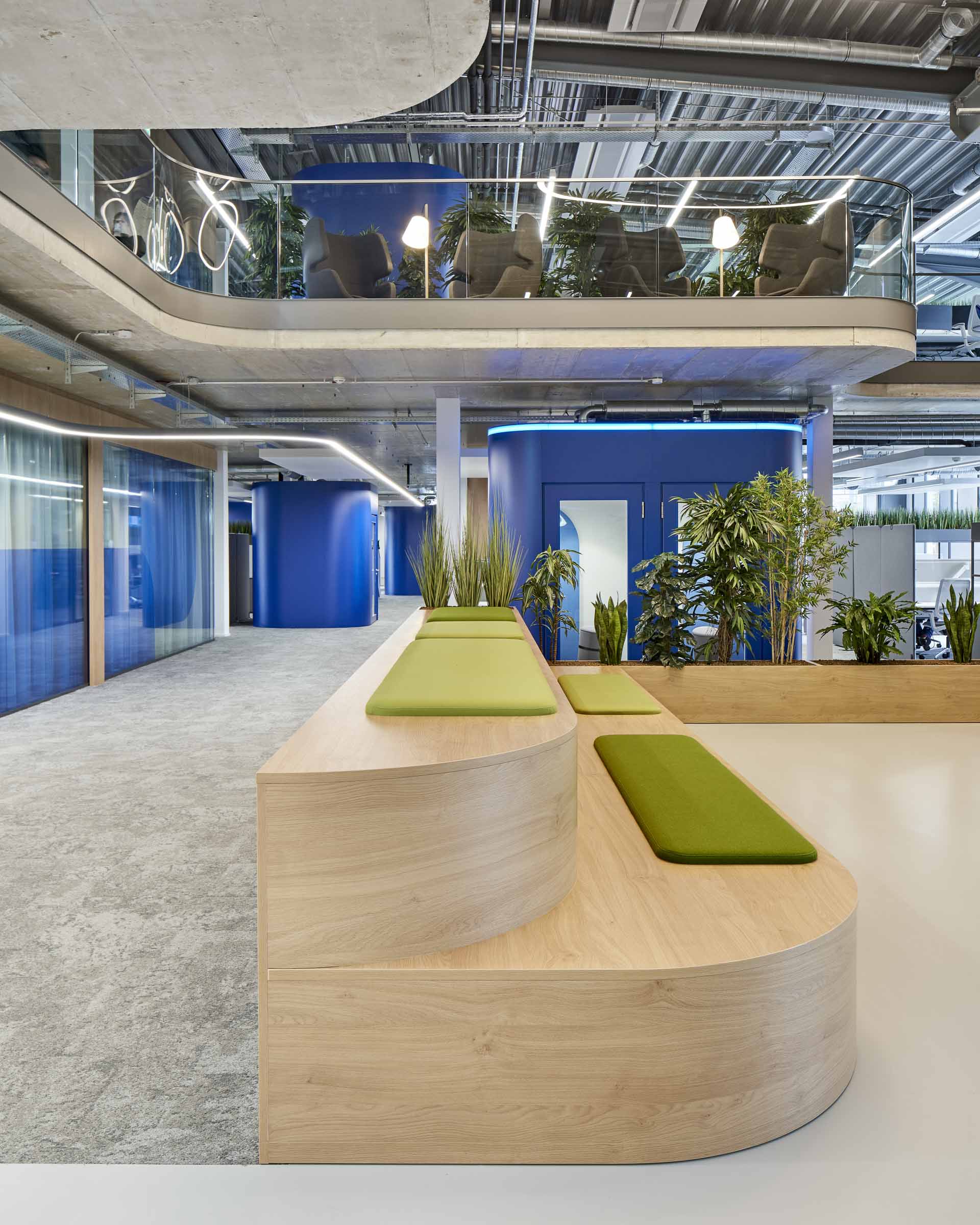 Modernes Büro mit geschwungenen Holzbänken mit grünen Polstern, blauen Meetingräumen und Pflanzen.