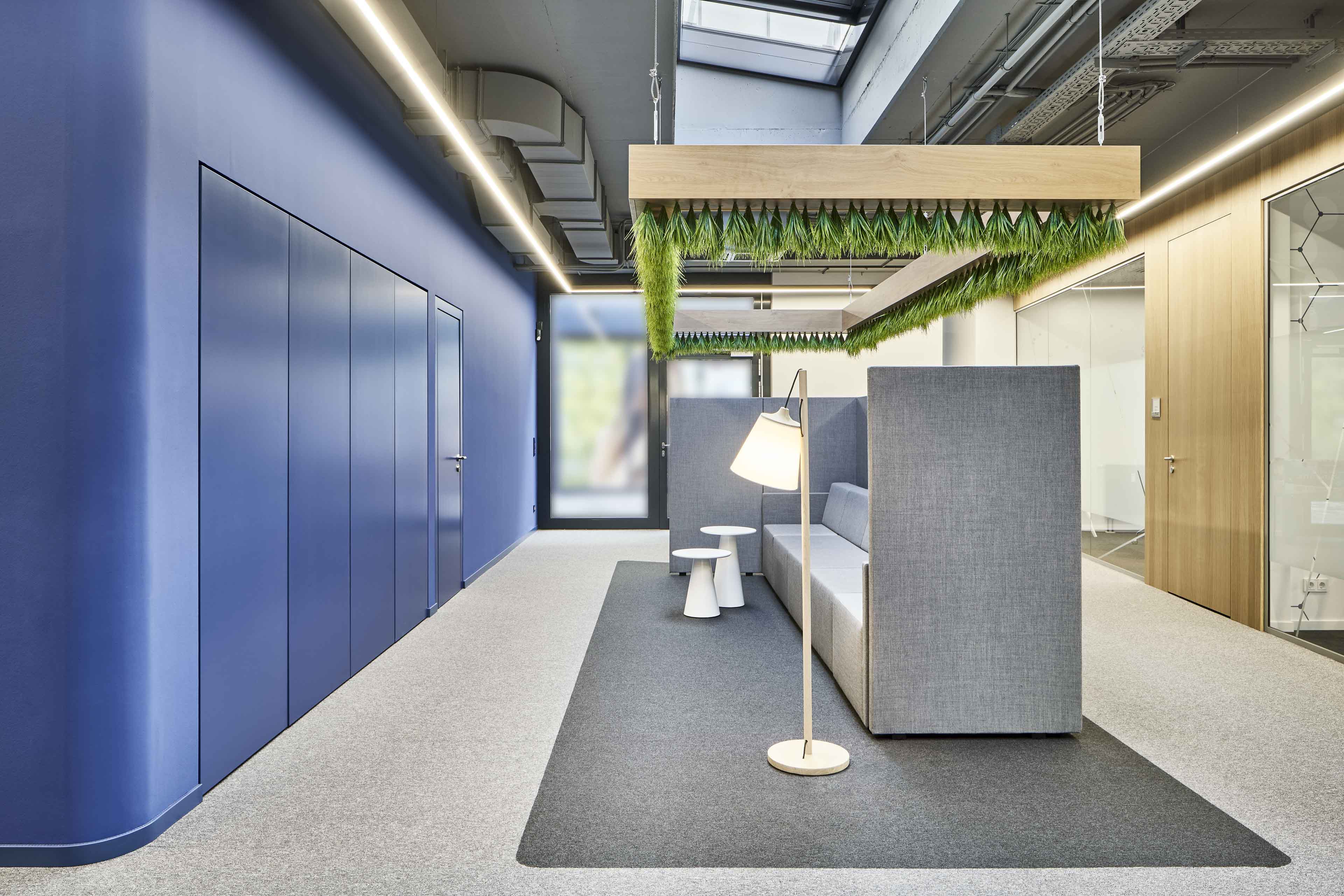 Moderner Bürobereich mit grauem Sitzbereich, Stehlampe, grünen Hängepflanzen und blauer Wand mit versteckten Türen.