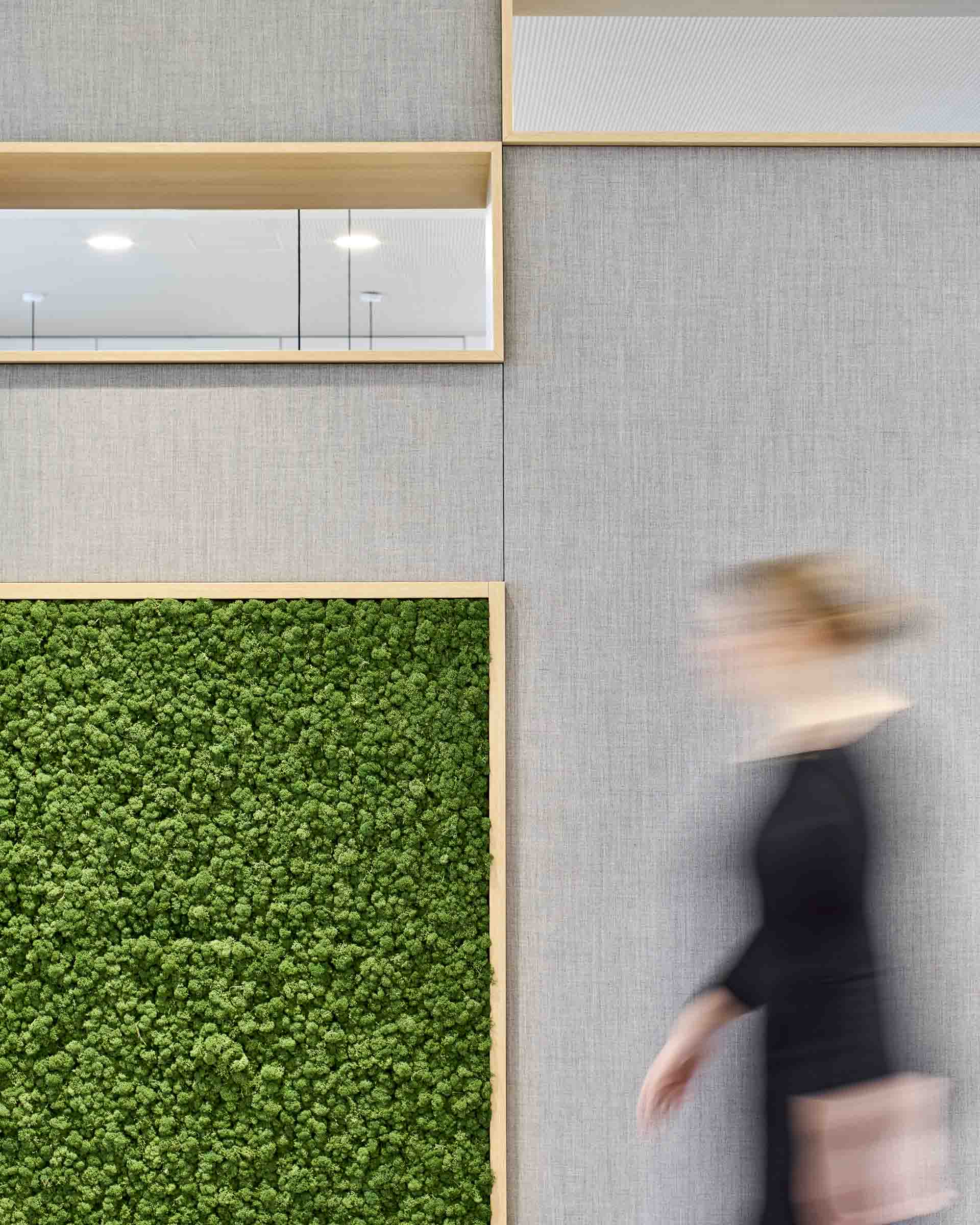 Verspiegelte Rahmen und grünes Moos an einer grauen Wand mit unscharfer Person, die vorbeigeht.