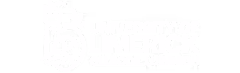 university of limerick
