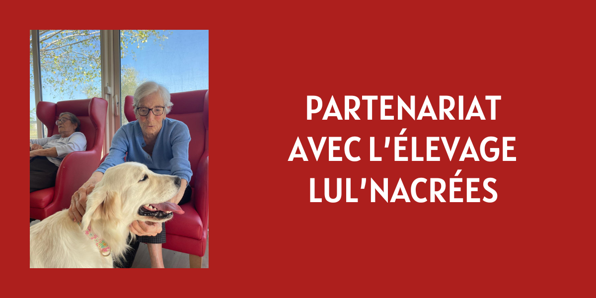 Des visites canines pleines de tendresse à La Bourgade du Château