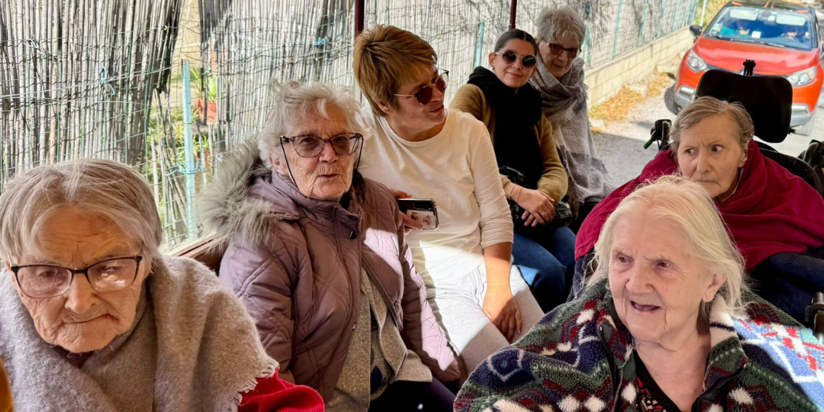 Une balade en calèche au bord du canal du Midi