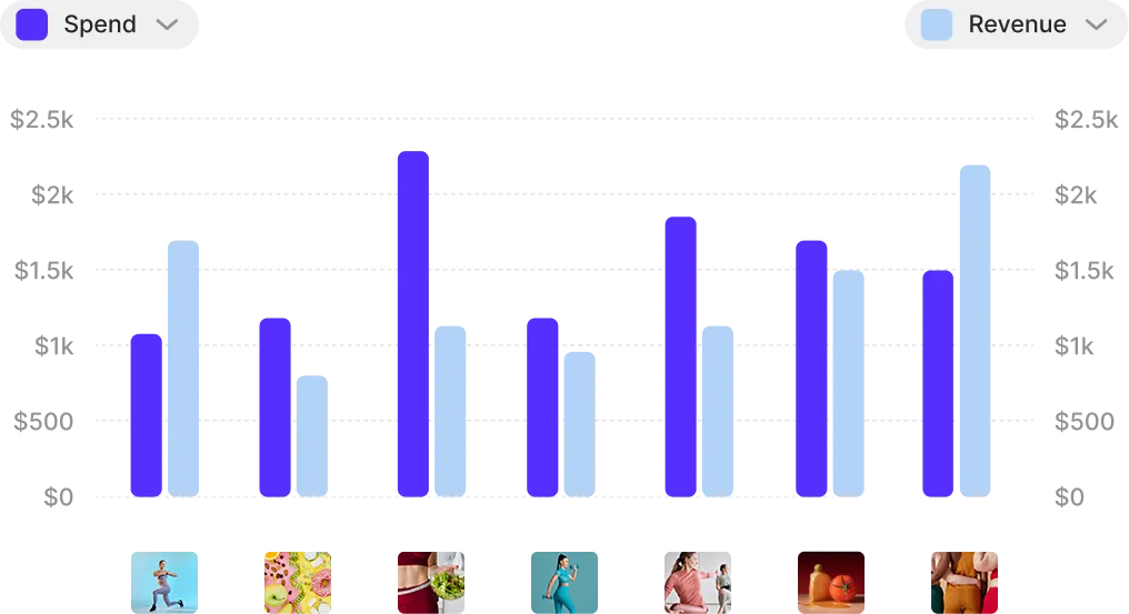 Visual Reports