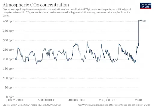 CO₂ concentration in the atmosphere