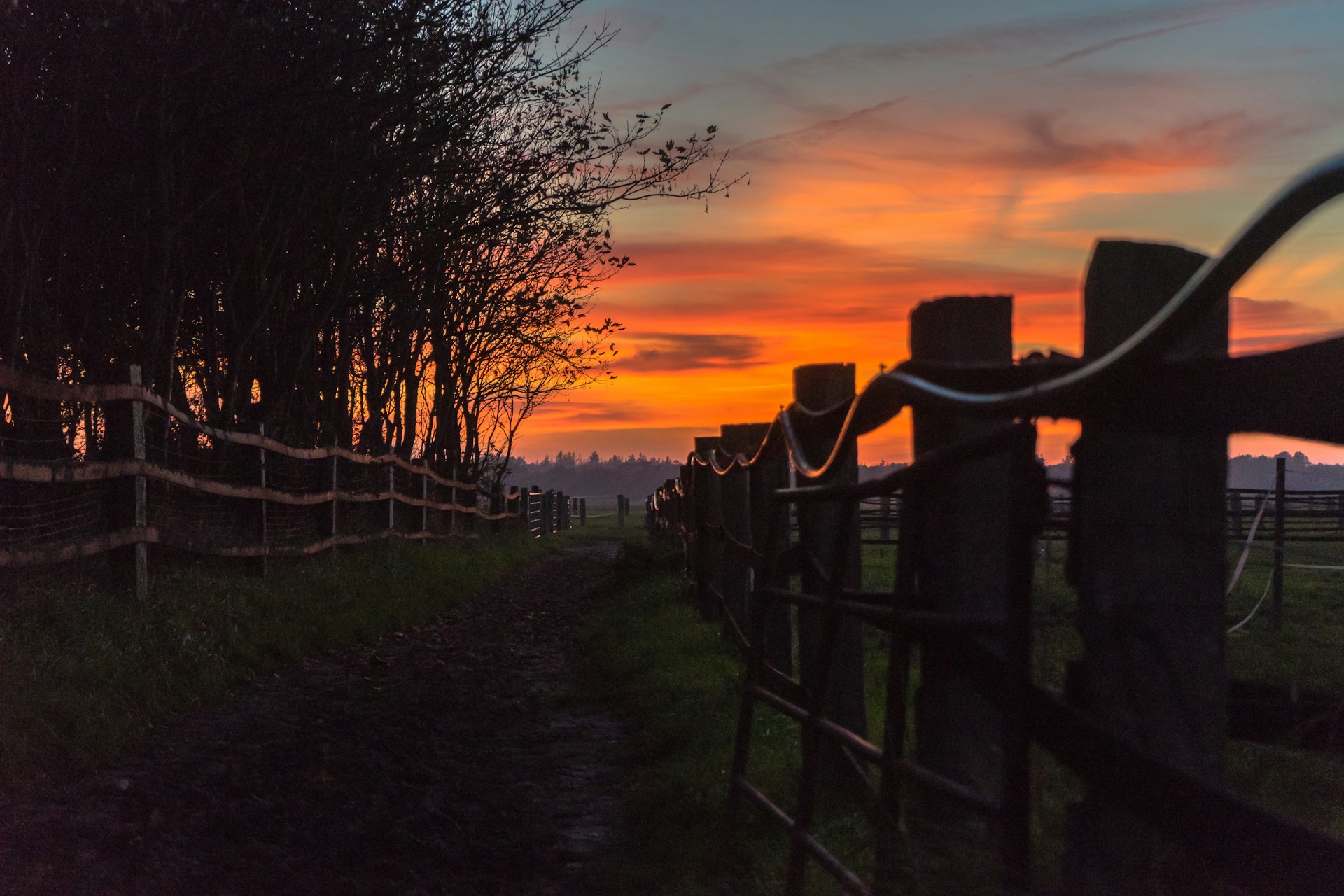 A muddy farm lane runs between wooden fences at sunset, with silhouetted trees on one side and a metal gate in the foreground, under a sky glowing orange and red.