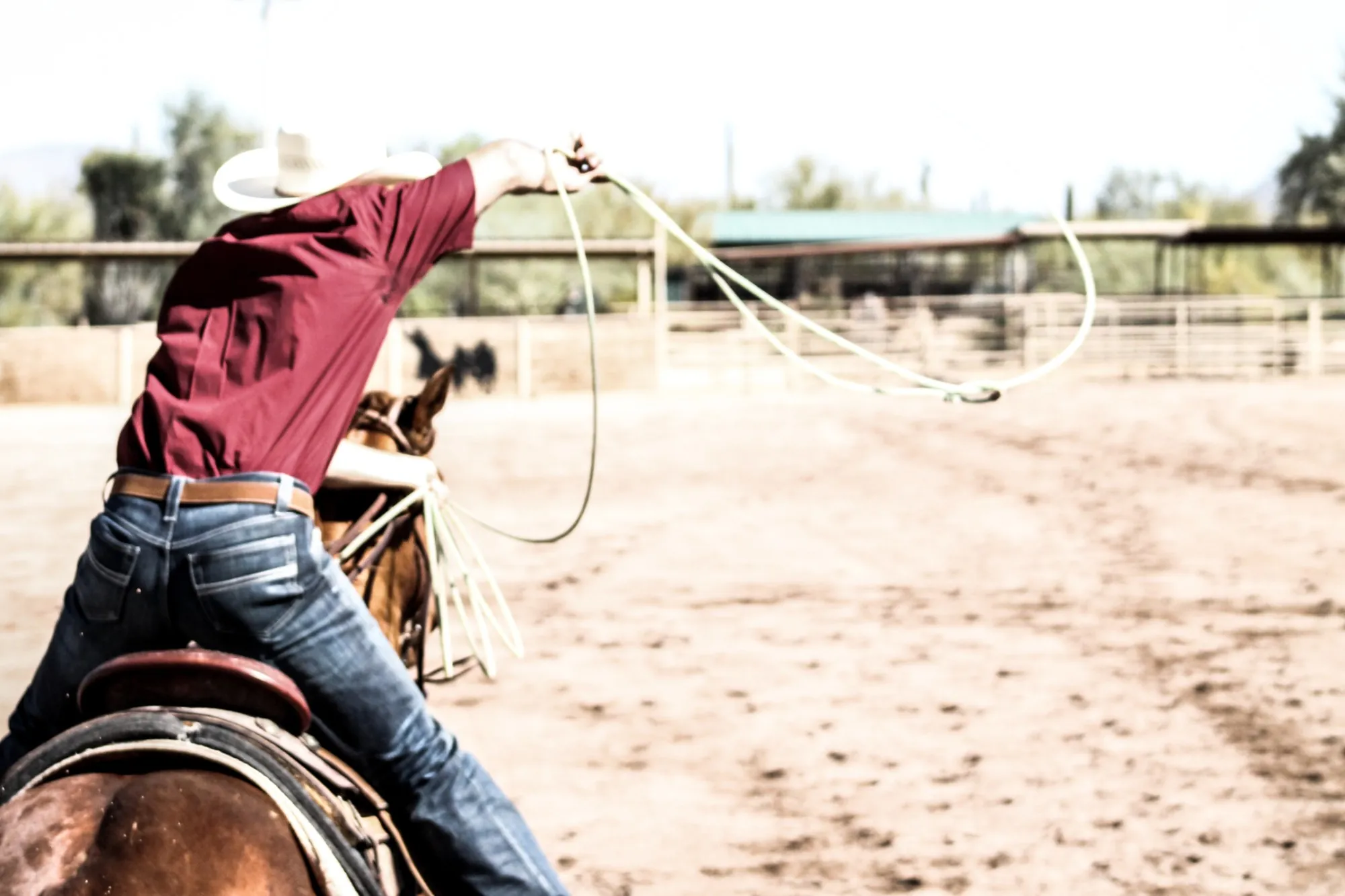 A roper in a red shirt swings a loop from horseback during a run in an Arizona arena