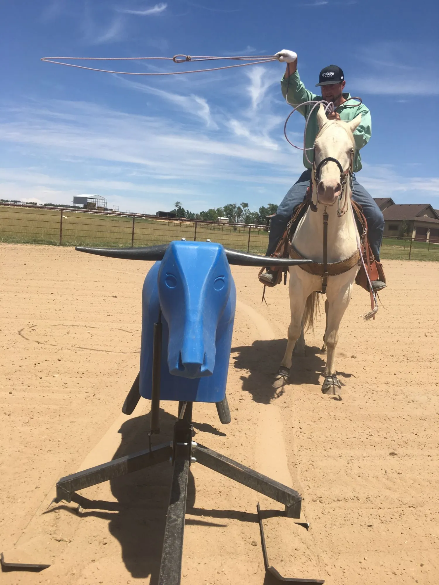 A roper on a palomino horse swings a loop behind a blue roping sled steer in an outdoor arena