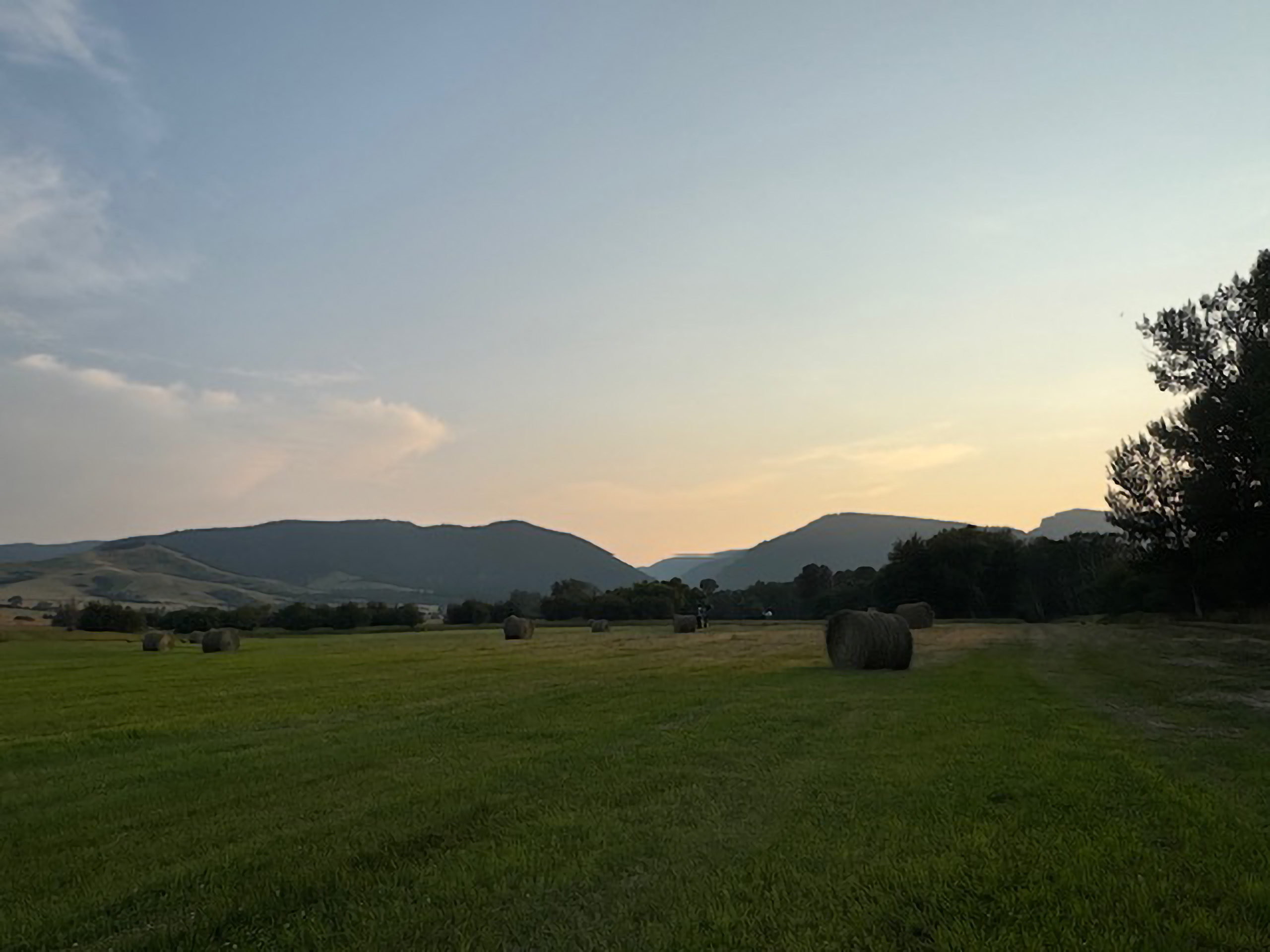 Round hay bales in a freshly cut field at sunset with the Bighorn Mountains in the distance