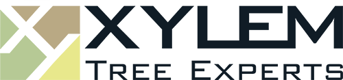 Xylem logo