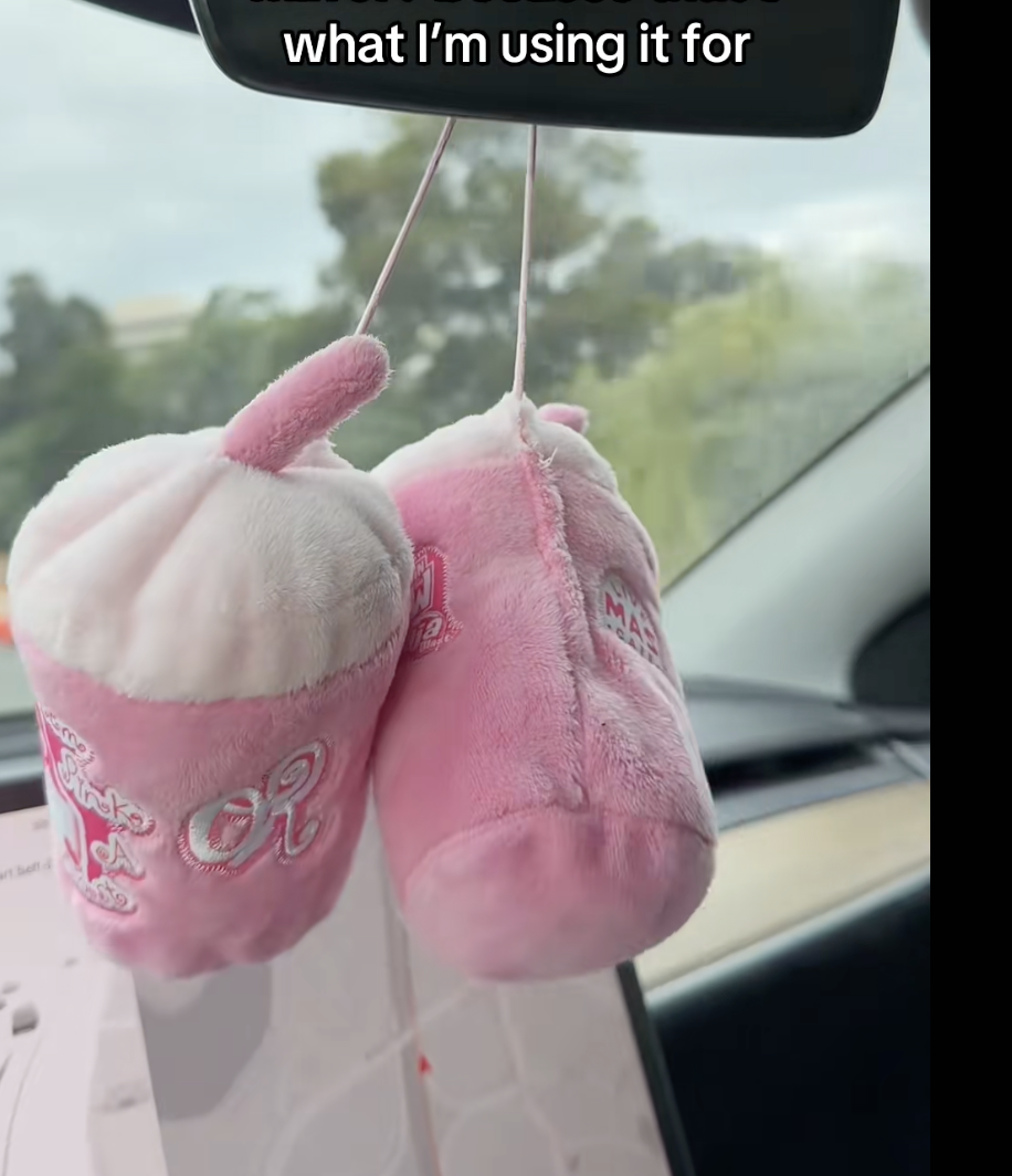 Pink plush cup pair hanging from a rearview mirror