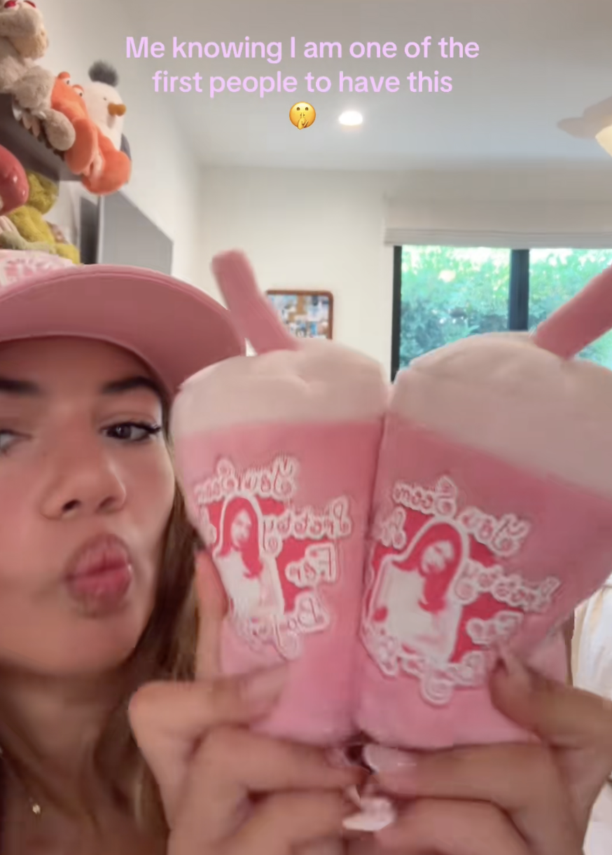 Campaign artwork on the actual plush cup ornaments