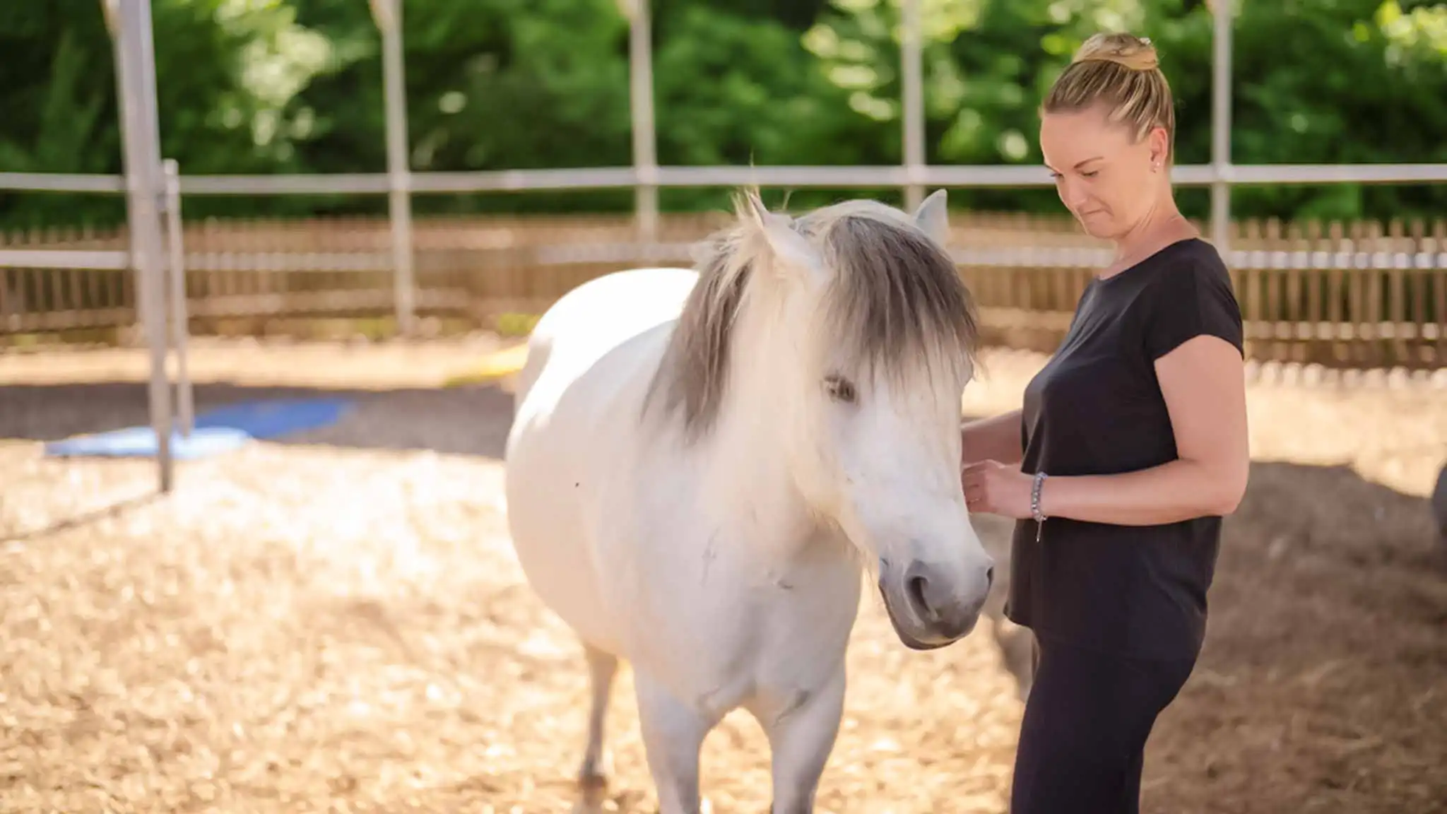 Eine Patientin streichelt ein Pony bei der pferdegestützten Therapie.