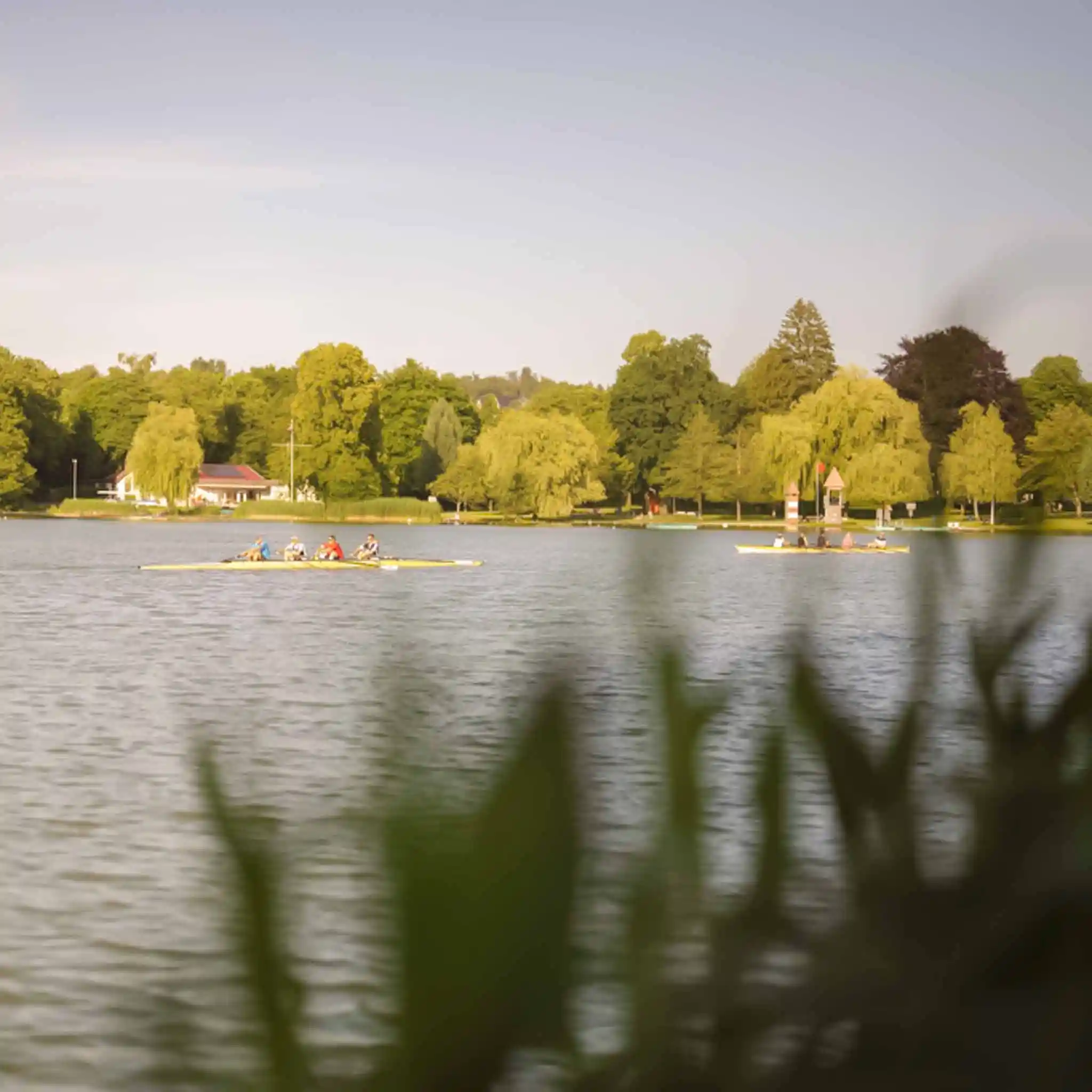 Blick auf einen See, auf dem mehrere Kajaks fahren