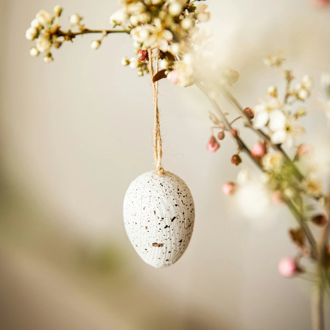 Ein Osterei hängt von einem Ast