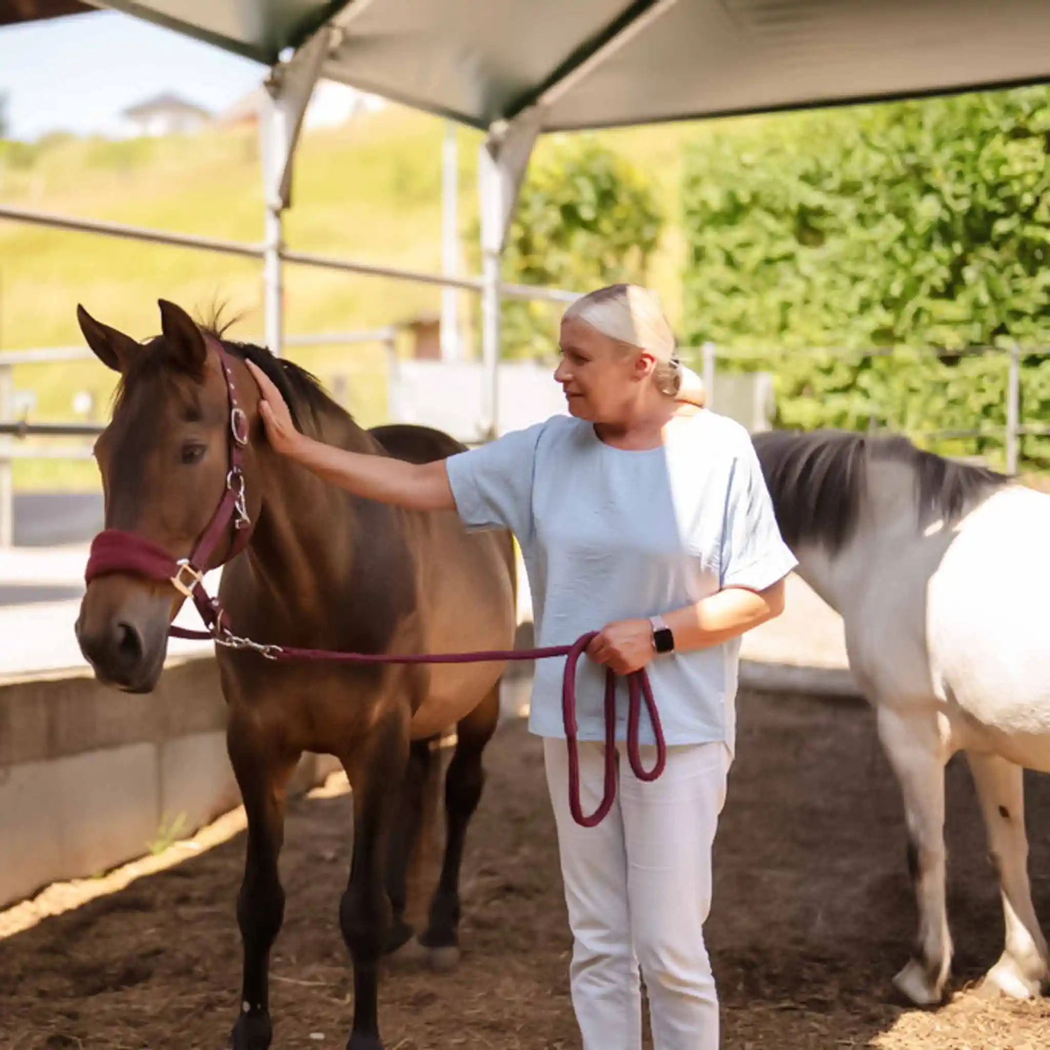 Eine Patientin streichelt im Rahmen der tiergestützten Therapie ein braunes Pferd, welches sie am Strick führt.