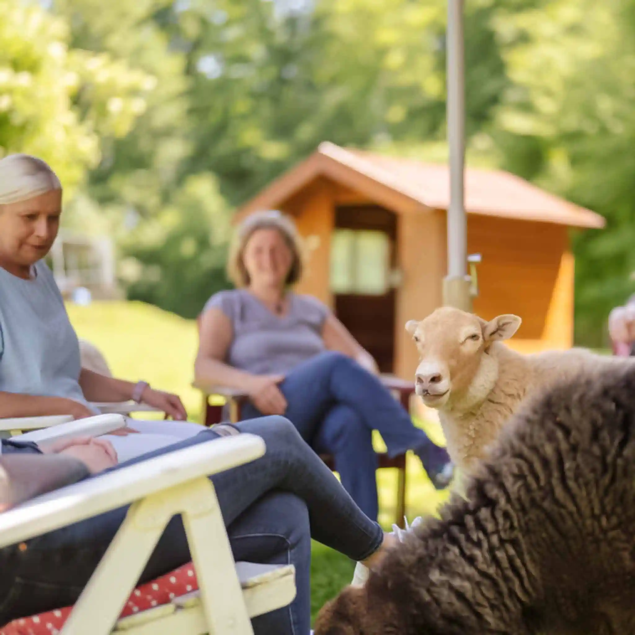 Patientinnen bei der tiergestützten Therapie mit Schafen