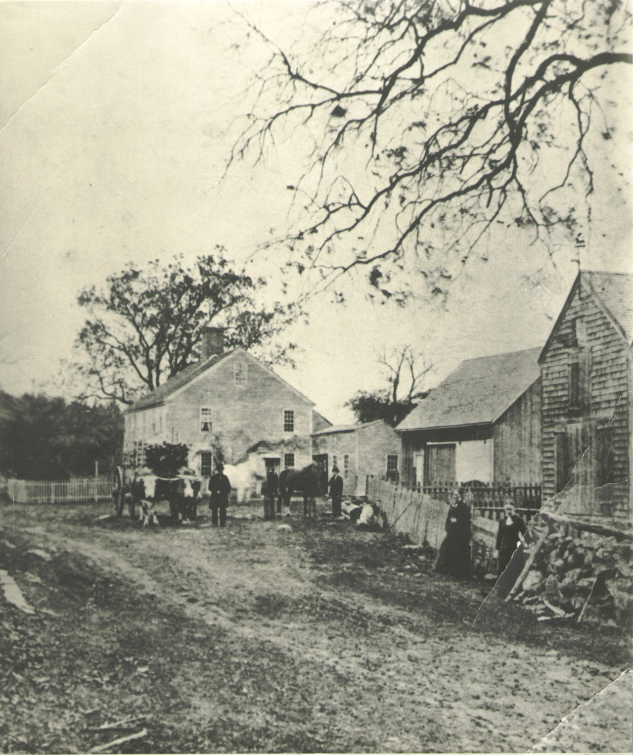 Towne family homestead 1878. Pictured (l to r) Henry A, Orin, Hiram, Elizabeth (Long), and Lucy