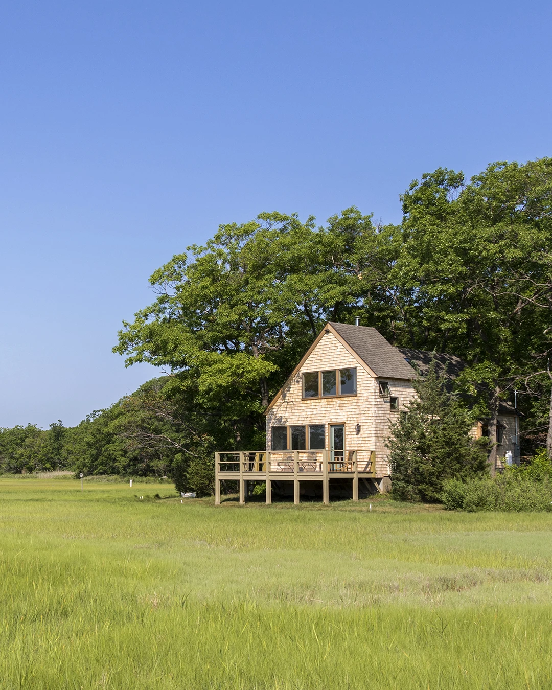 Marsh Island Naturalist’s Dream