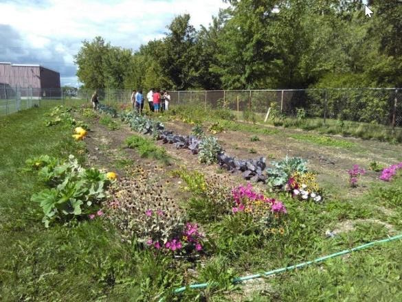 https://www.centrelasallien.org/wp-content/uploads/2021/03/Jardins-des-patriotes.png