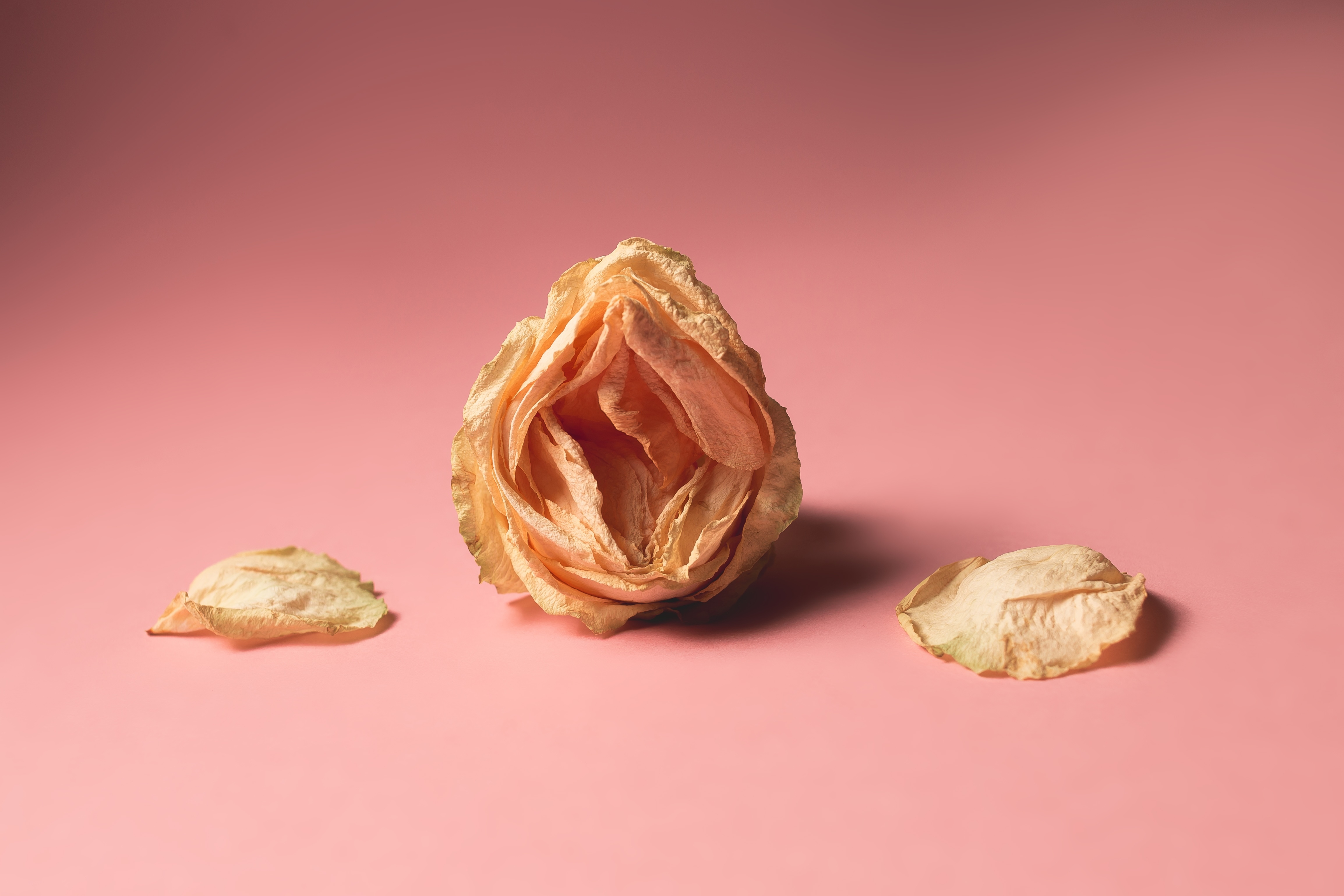 Midlife Sex: The (Very) Good, the Bad, and the Rarely Discussed