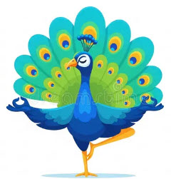 Steve Hurd IDS Projects Manager