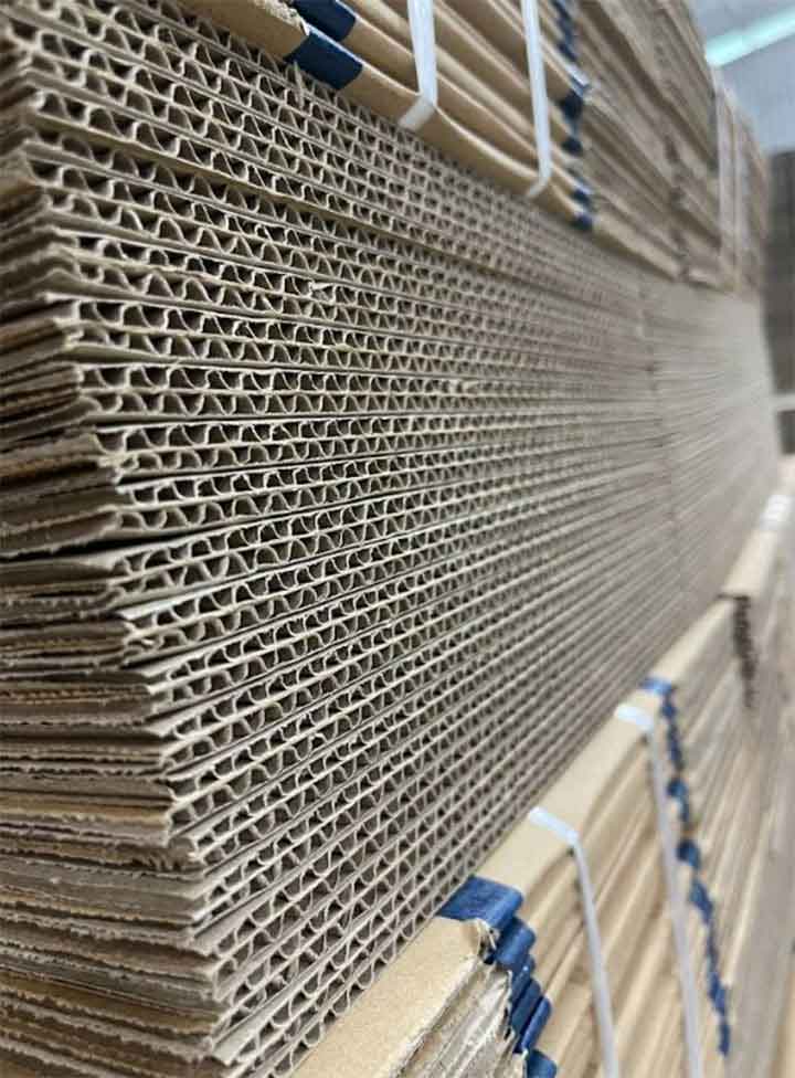 Bìa carton