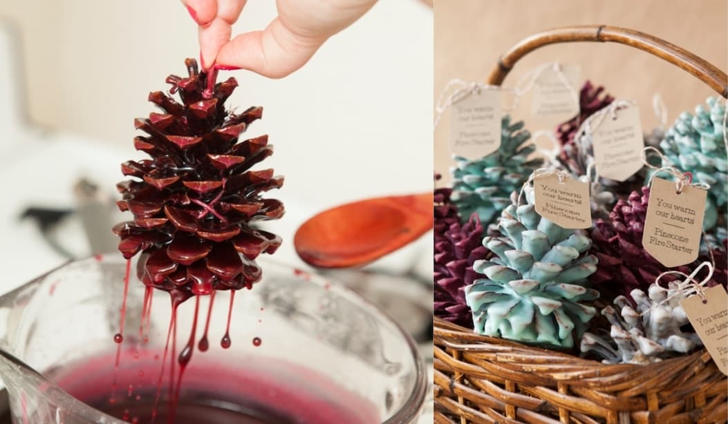 DIY Pinecone Firestarter