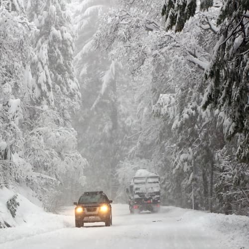 Which Plant-Based Milk Is Best For the Environment?