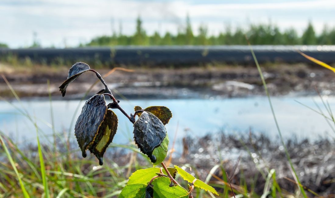 Oil slick on a river