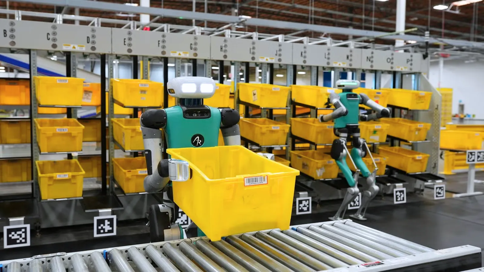 Digit working in amazon warehouse