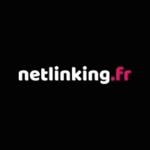 Netlinking vs Whitepress : lequel choisir ?