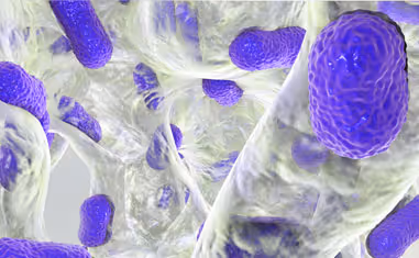 Close-up 3D rendering of rod-shaped bacteria with a textured purple surface inside translucent tubular structures.