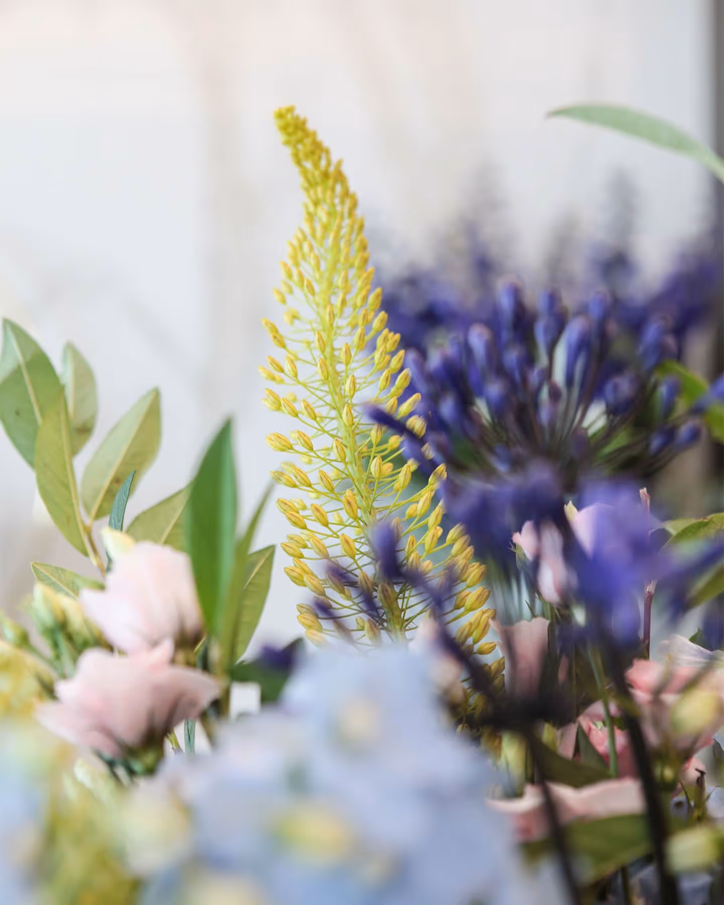 Style Tip: How to Bring Nature Indoors with Fresh Cut Flowers