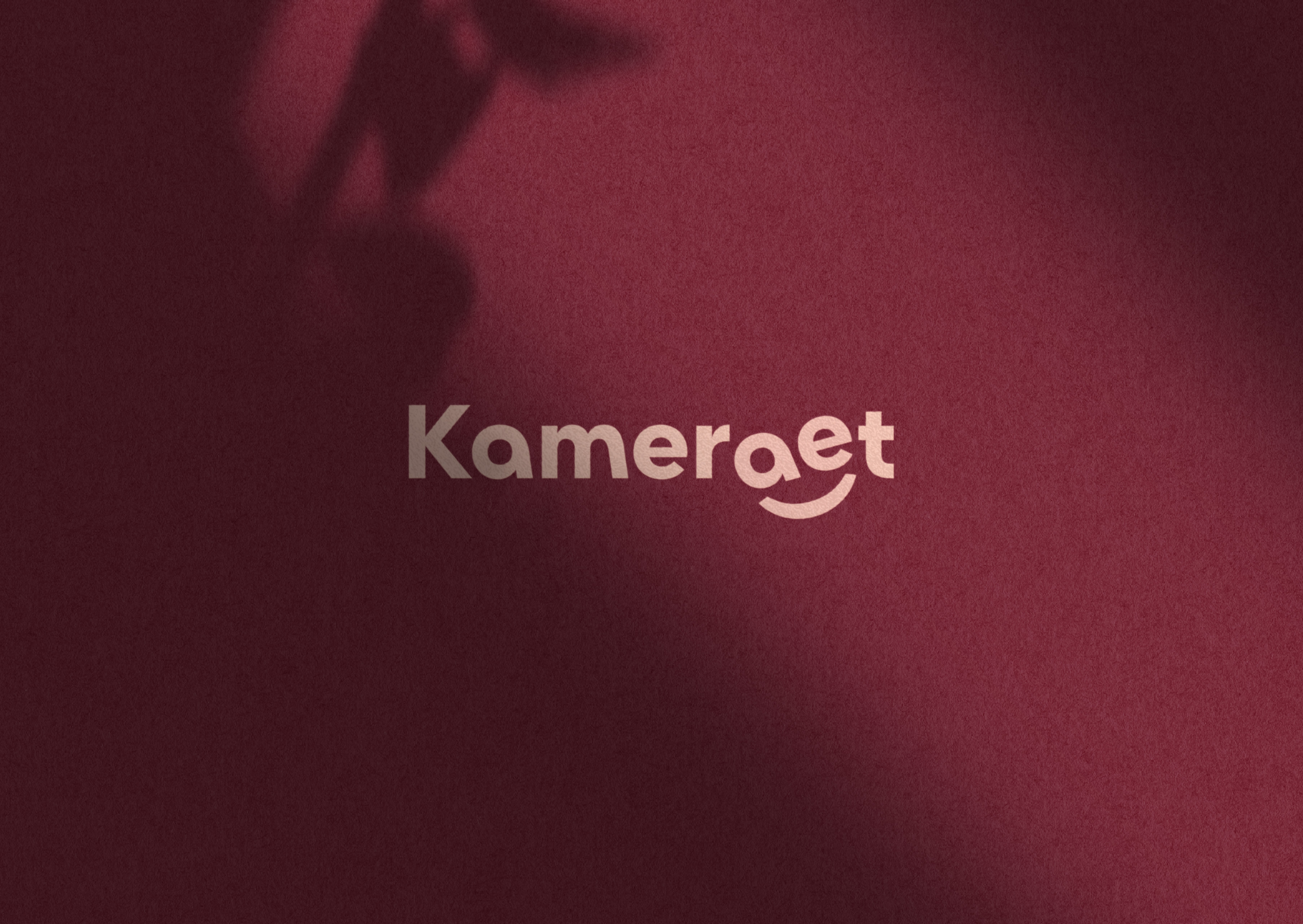 Kameraet